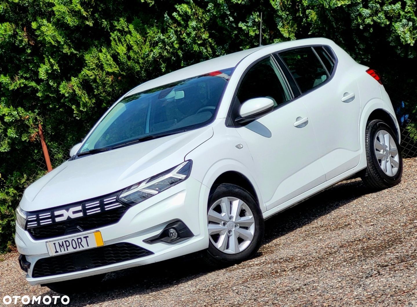 Dacia Sandero - 1