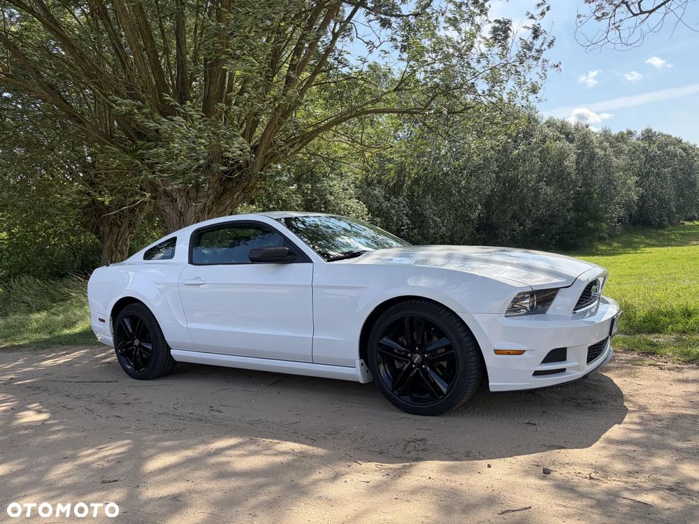 Ford Mustang 3.7 V6 - 19