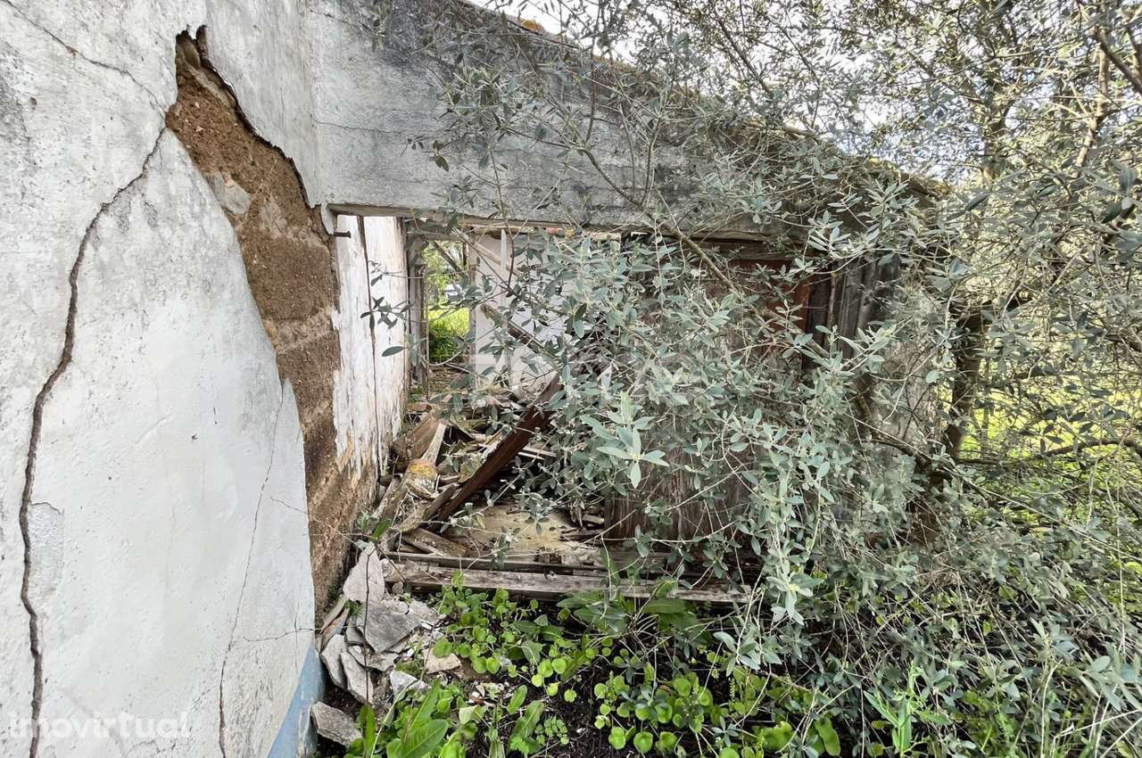 Quinta em Ferreira do Alentejo - Gasparões - Grande imagem: 4/20