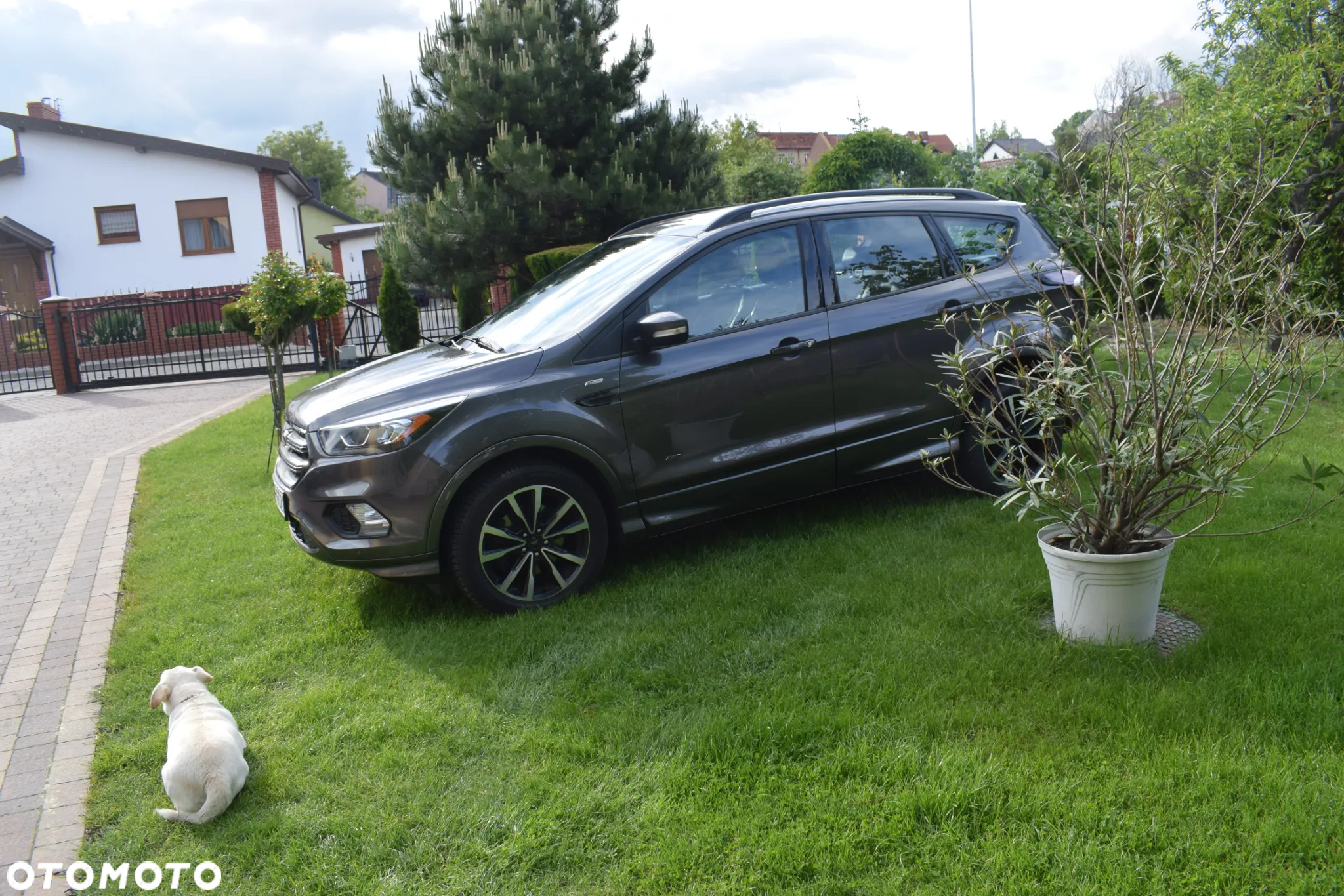 Ford Kuga 2.0 TDCi 4x4 ST-Line - 6