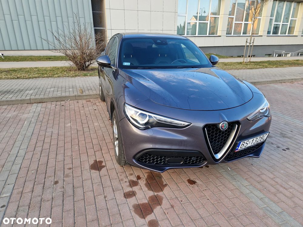 Alfa Romeo Stelvio 2.0 Turbo Executive Q4 - 5