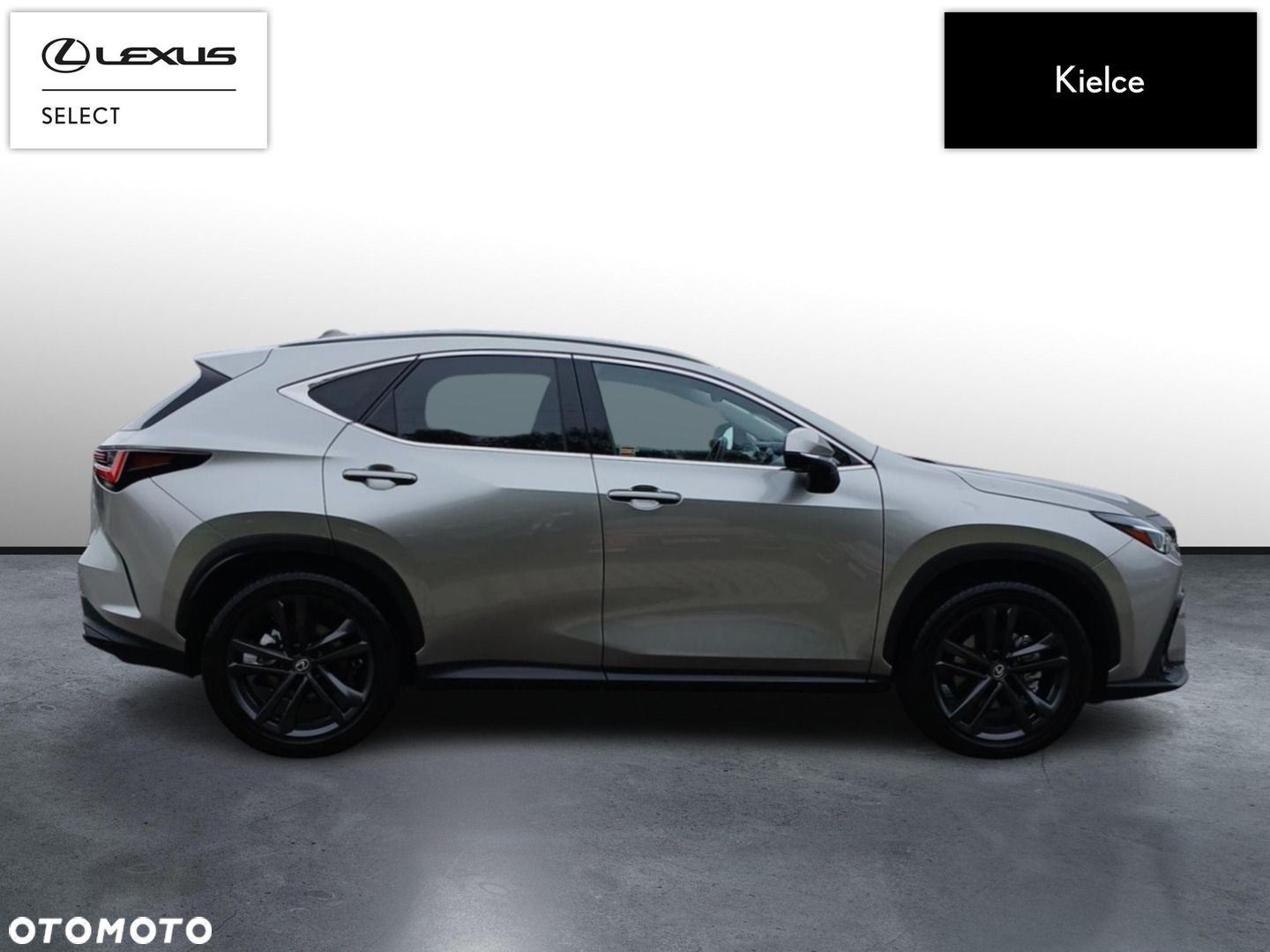 Lexus NX 350h Prestige AWD - 6