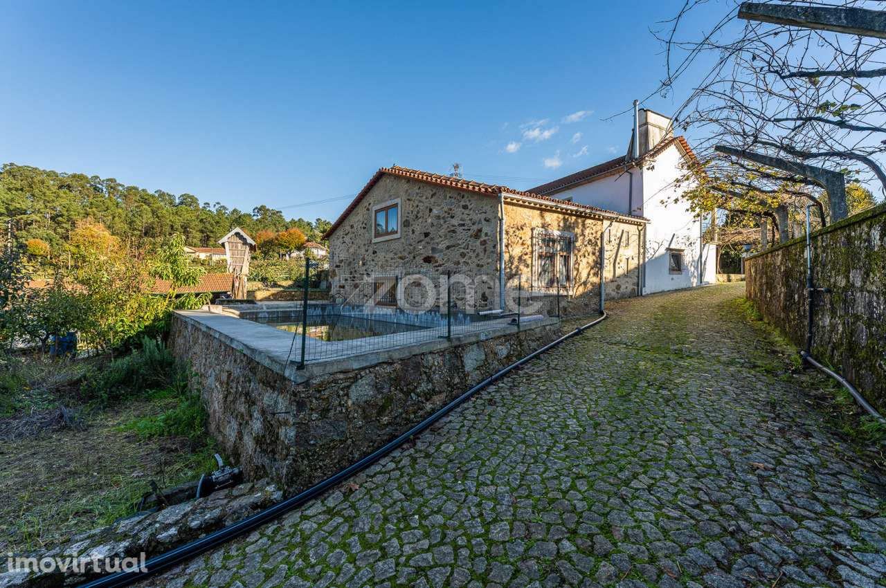 Quinta c/ Exploração Agrícola em Milheirós de Poiares, S. M. Feira - Grande imagem: 5/60