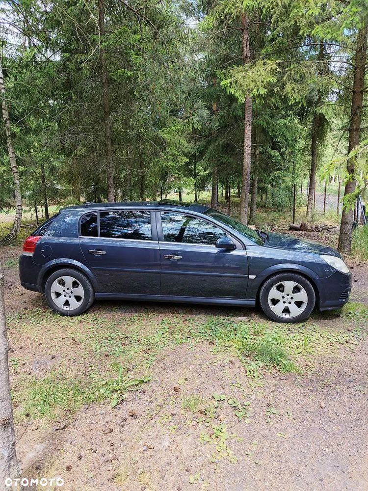 Opel Signum 1.9 CDTI Elegance - 2