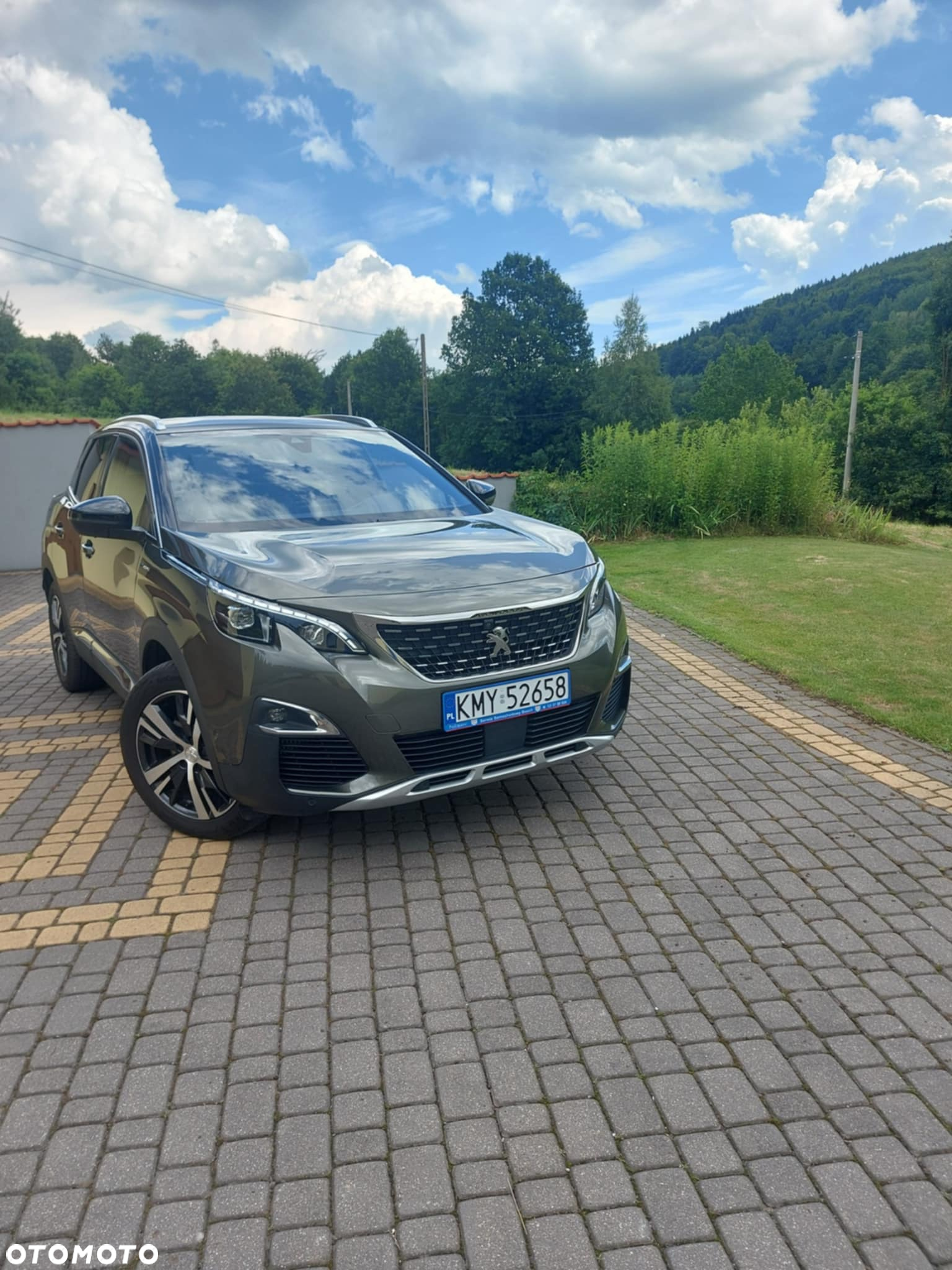 Peugeot 3008 - 5