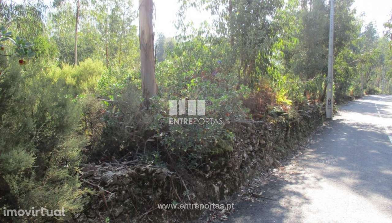 Venda Terreno com área de 15 500m2, Sebolido, Penafiel - Grande imagem: 5/10