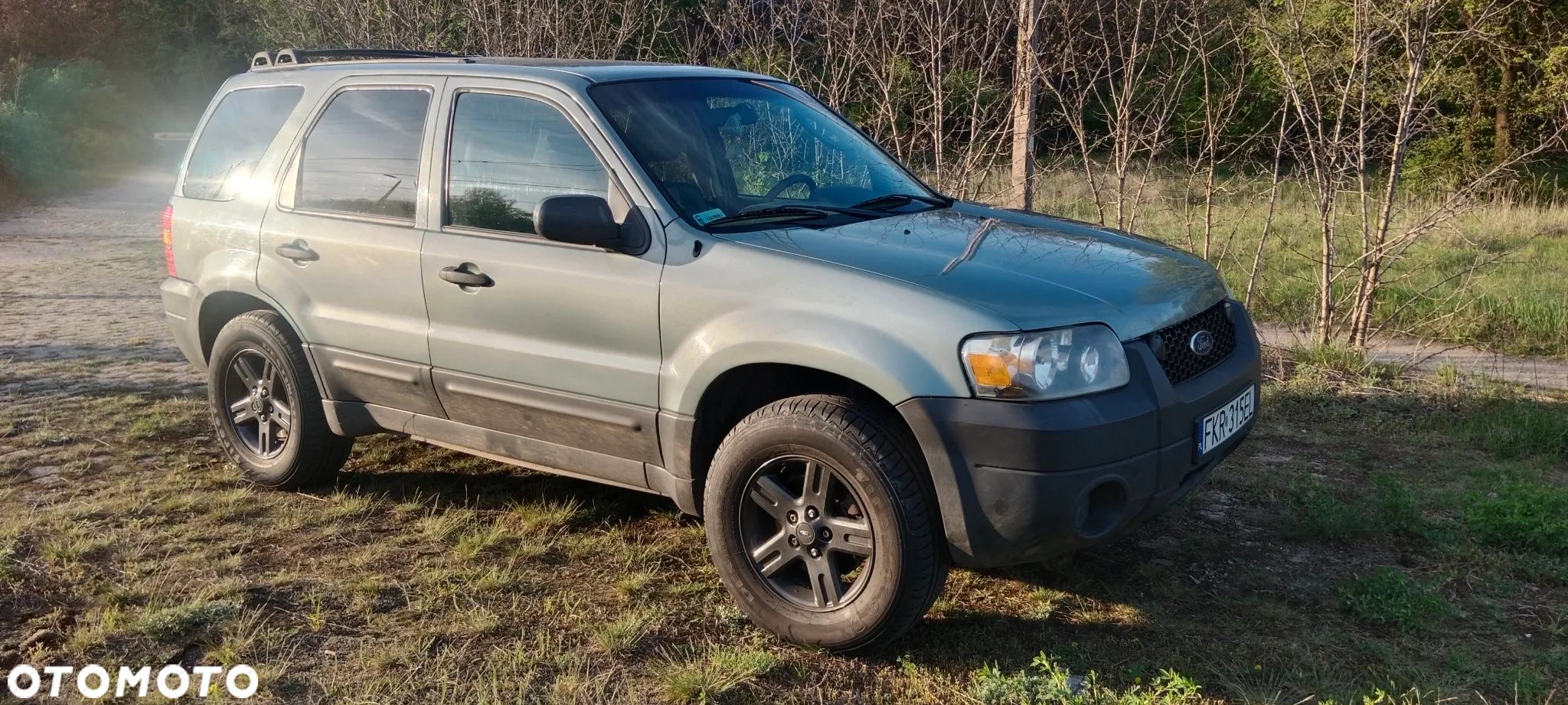 Ford Escape - 1