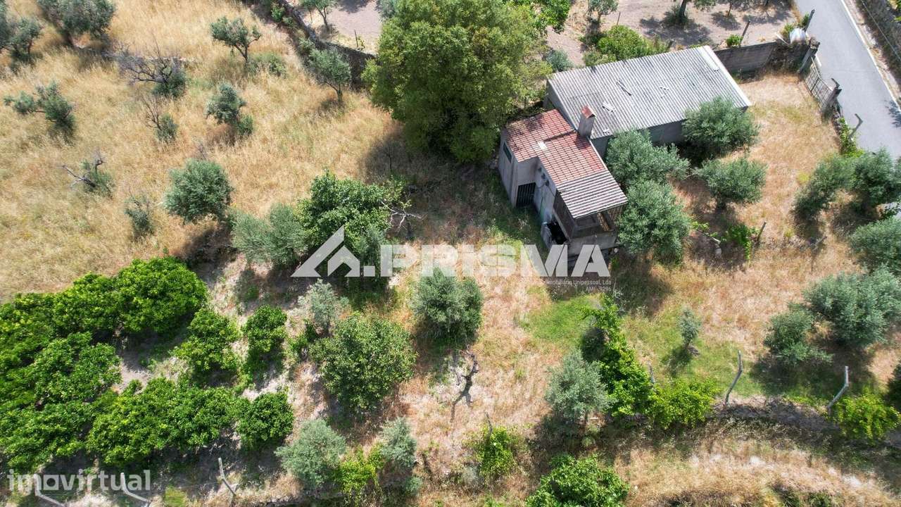 Quintinha para venda em Louriçal do Campo, Castelo Branco - Grande imagem: 2/30
