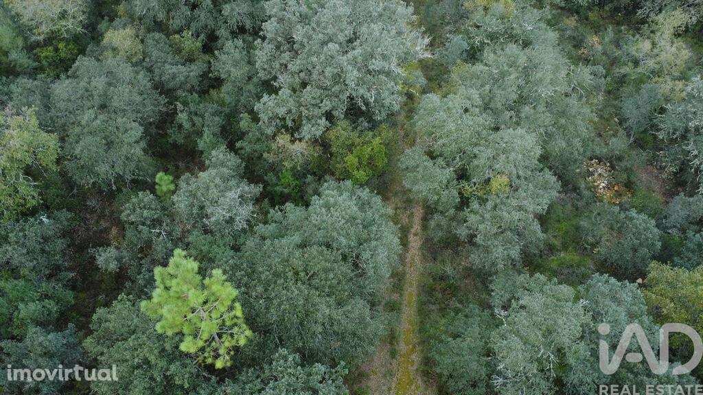 Terreno em Areias e Pias de 1080,00 m2 - Grande imagem: 4/21