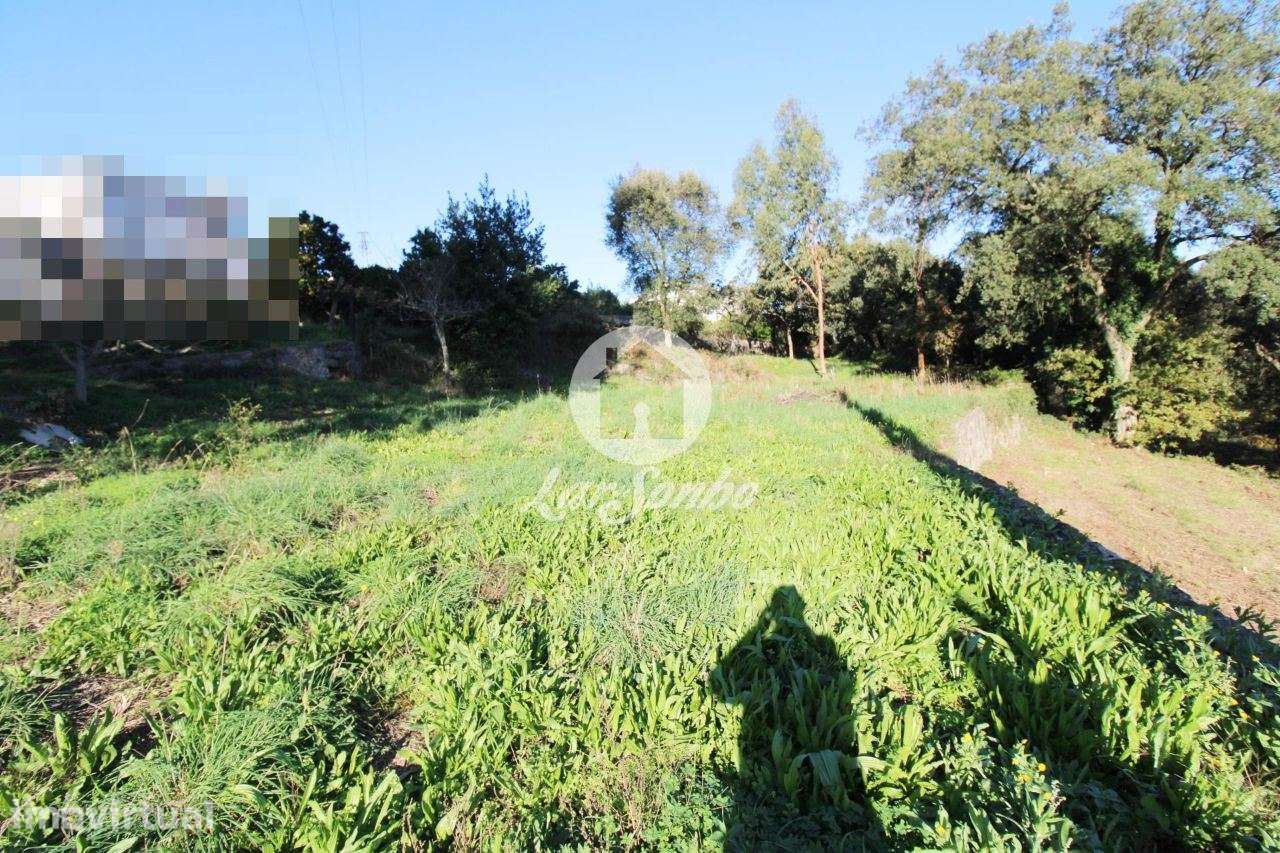 Terreno para construção de moradia c/ 2000m2 em Sequeiró, Stº Tirso - Grande imagem: 5/10