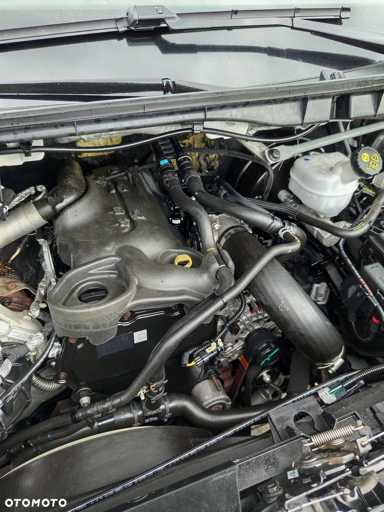 Ford transit - 23