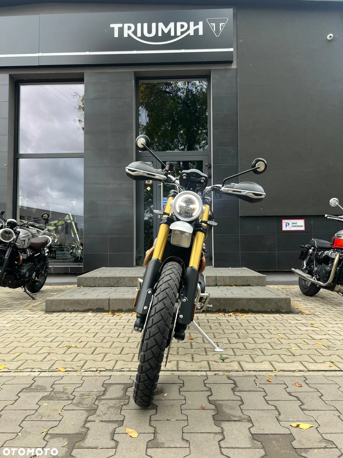 Triumph Scrambler - 8