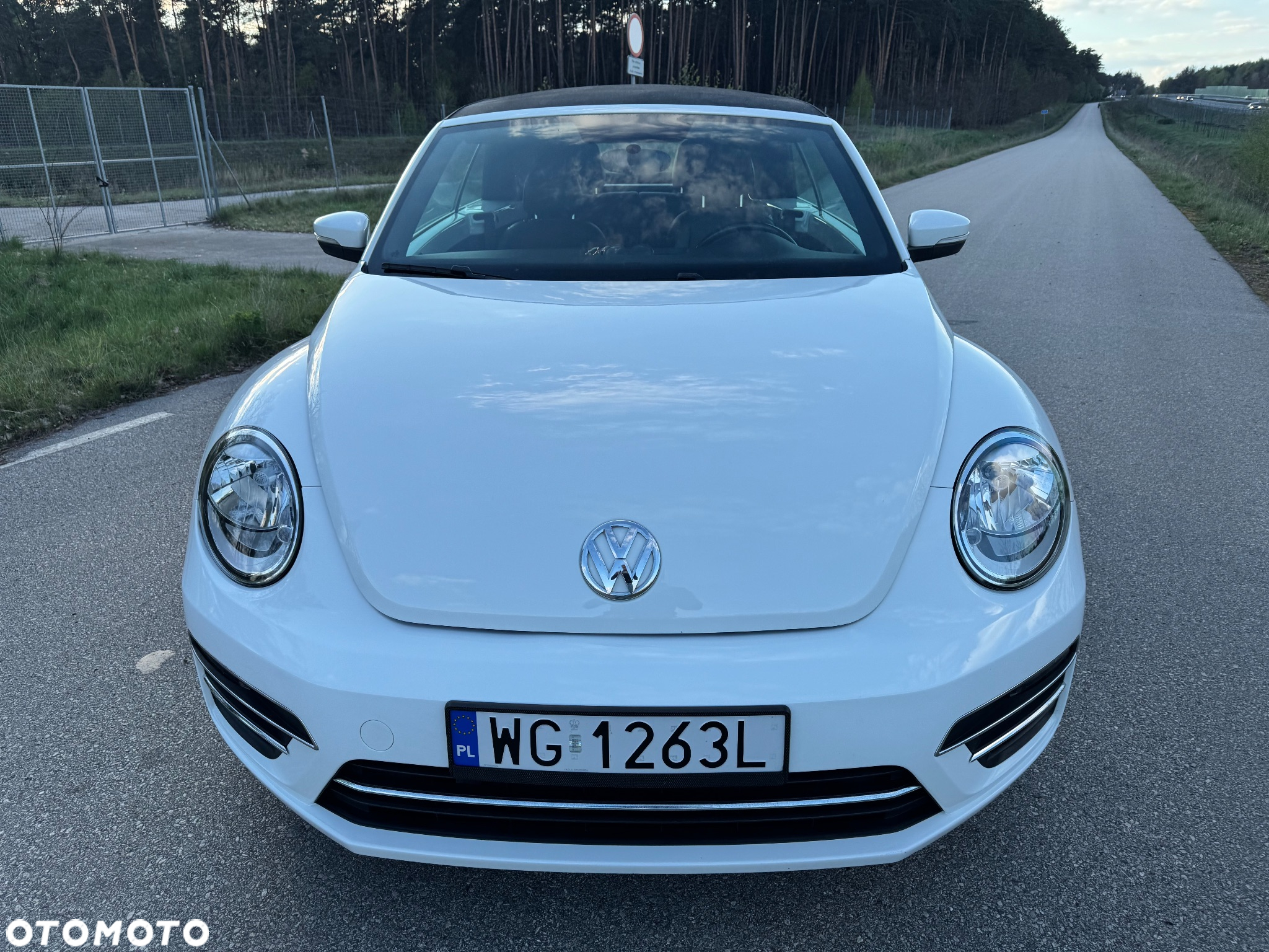 Volkswagen Beetle - 3