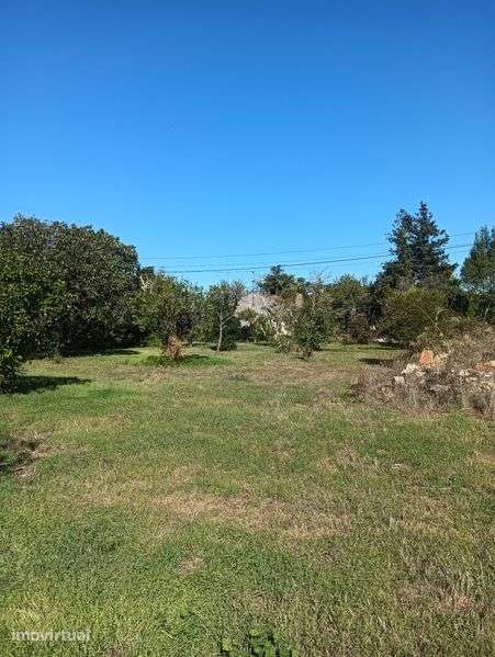 Terreno urbano com 2100 mts quadrados - Grande imagem: 4/7