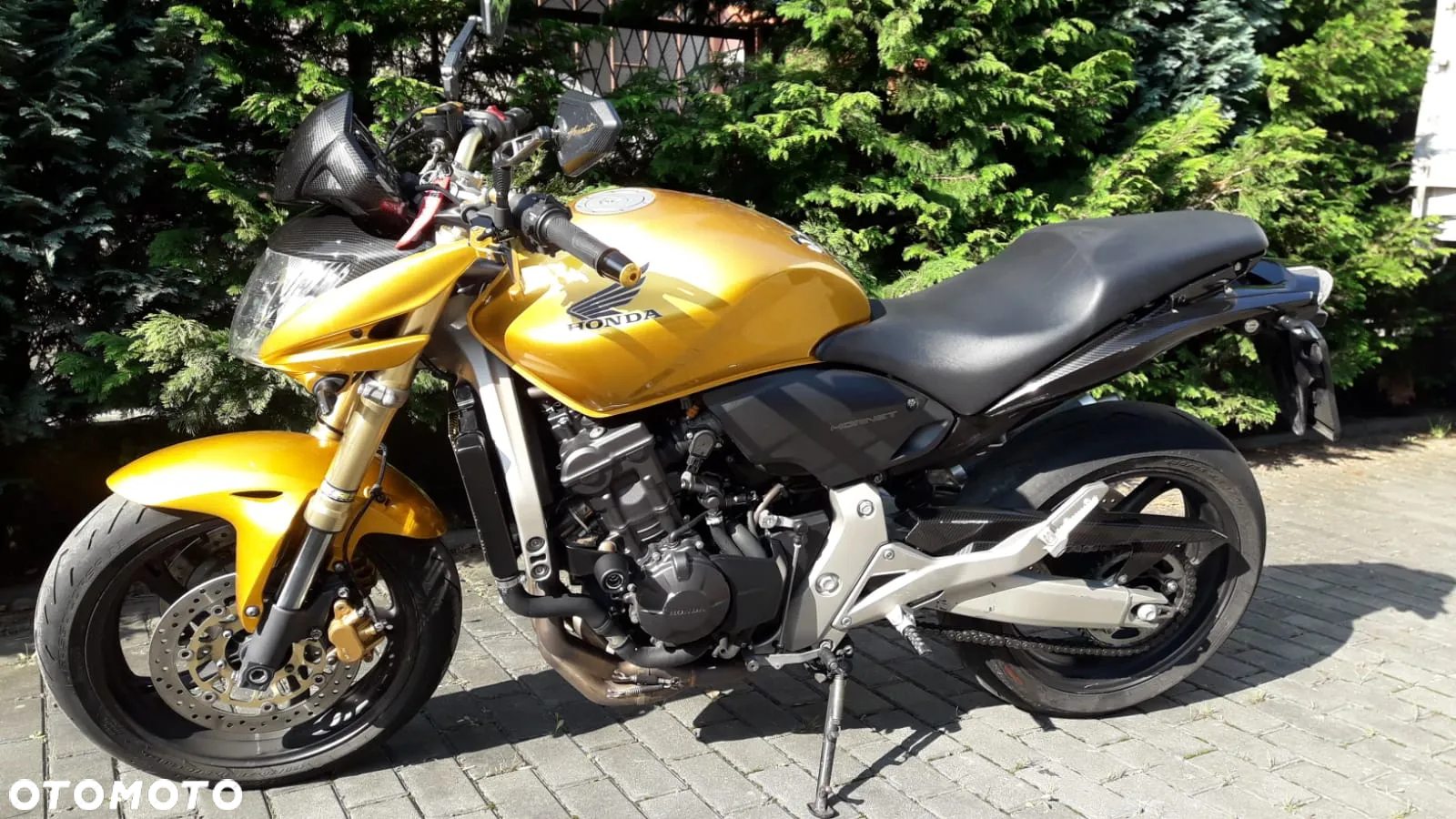Honda Hornet - 5