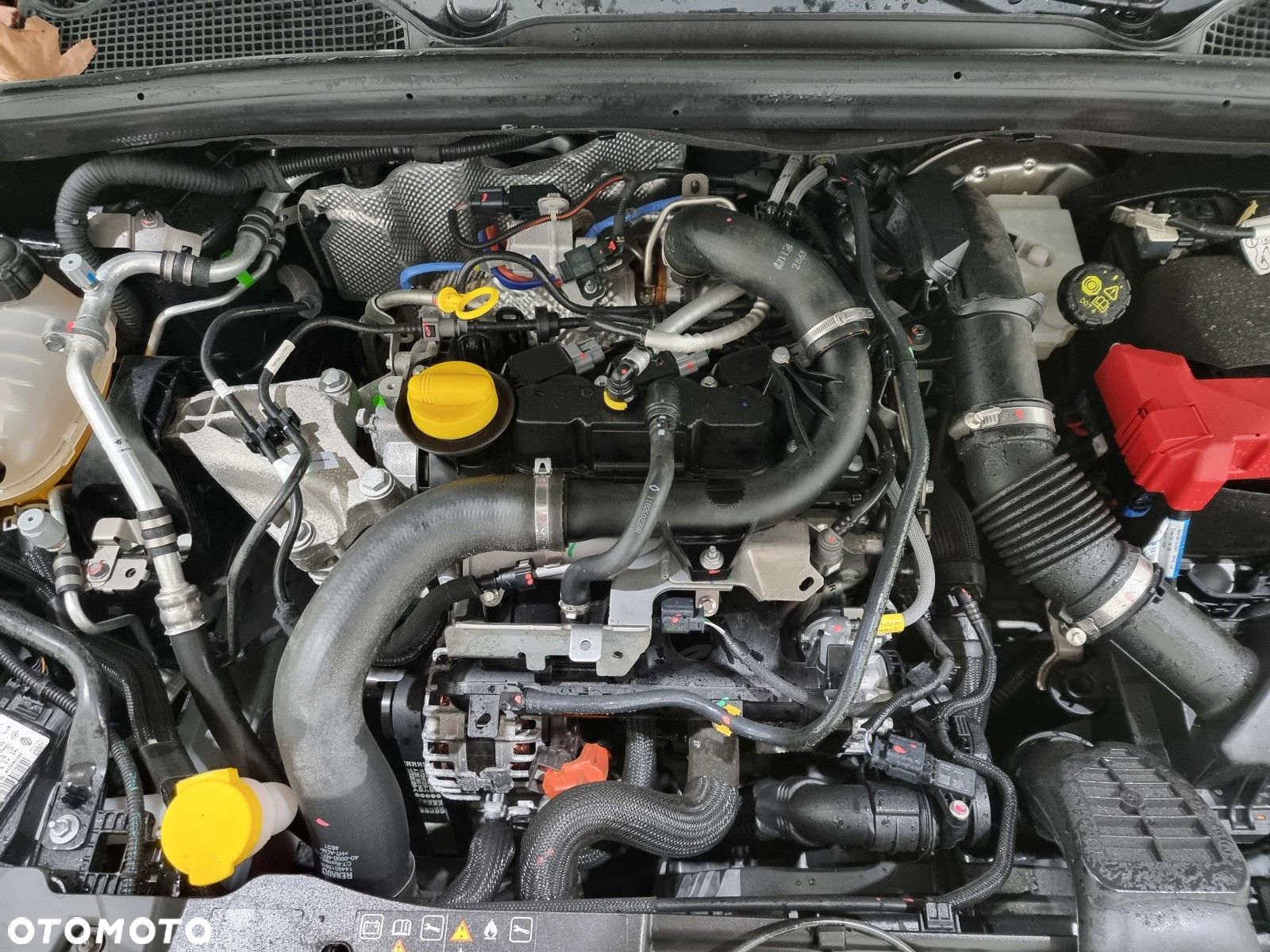 Renault Clio - 23