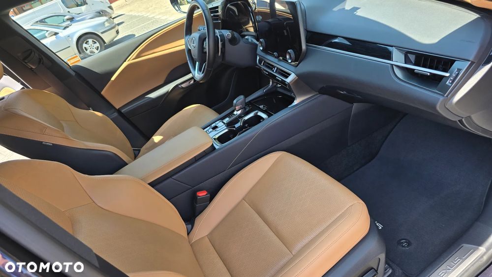 Lexus RX - 12