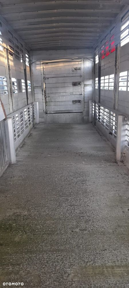 Zorzi 36s 136/19 LA - 17