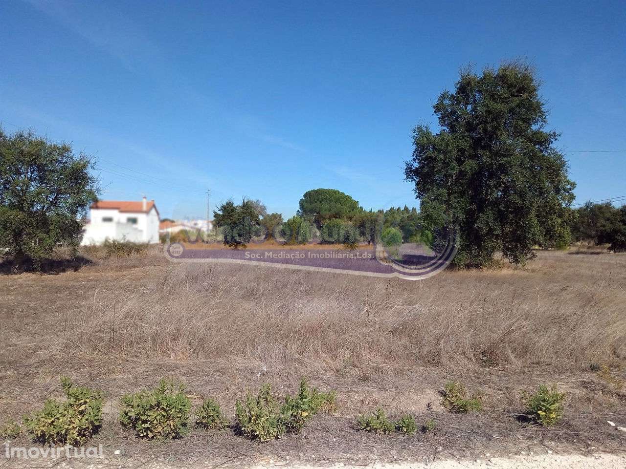 Terreno em Glória do Ribatejo (GLR018) - Grande imagem: 2/5