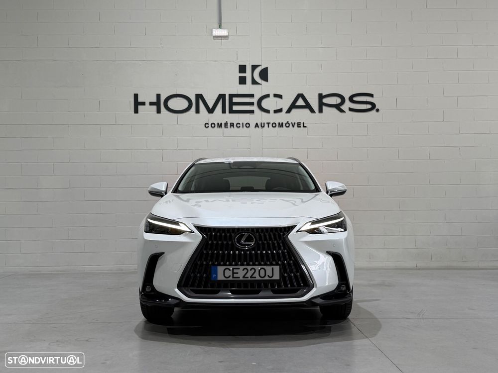 Lexus NX 450h+ Executive - 14