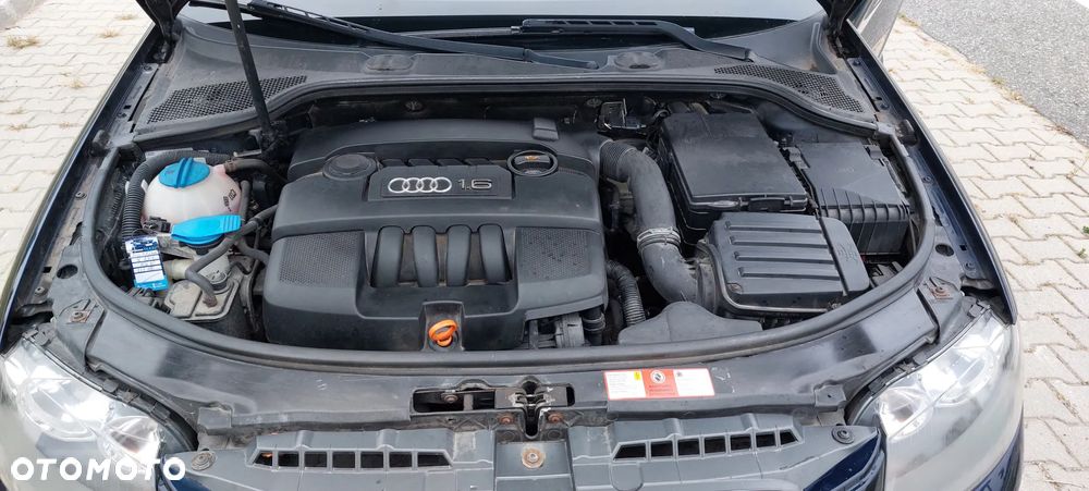Audi A3 1.6 Ambiente - 13