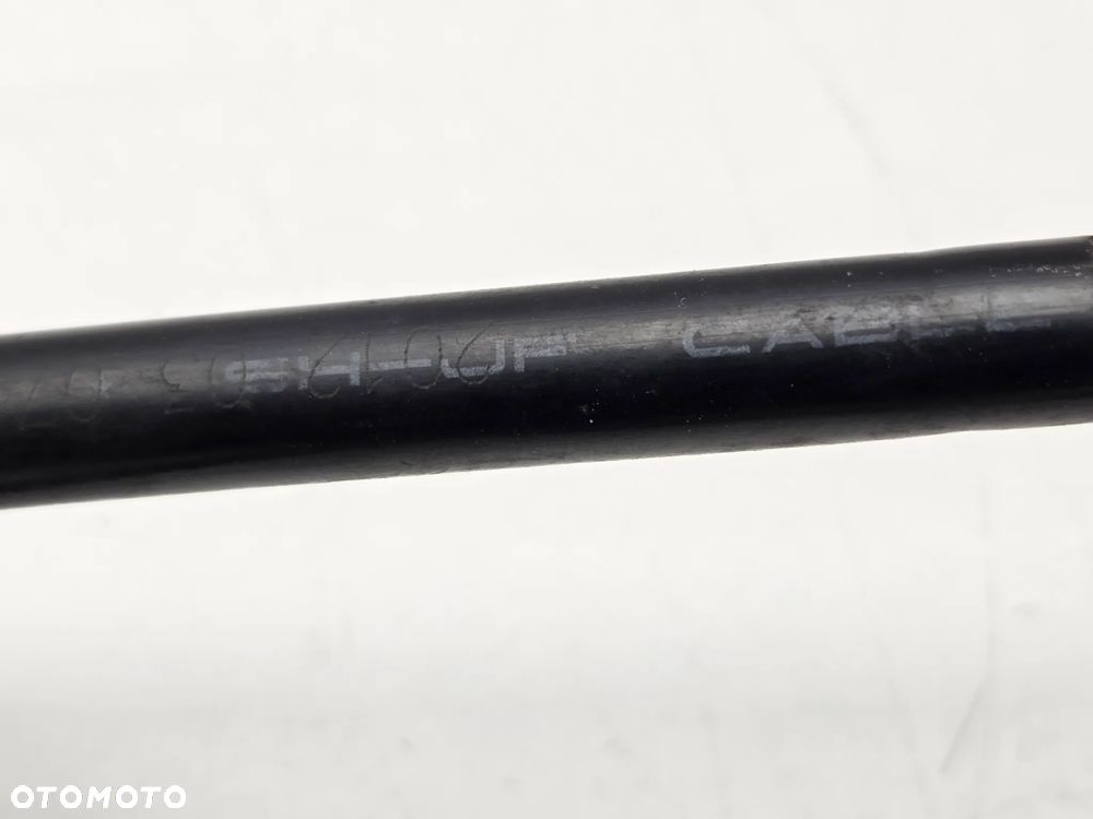 RIDE THORN 50 LINKA SPRZĘGŁA M1 - 5