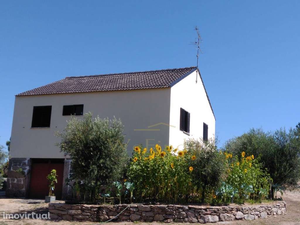 Quinta de 5ha no Coração do Douro - Riodades - Grande imagem: 5/12