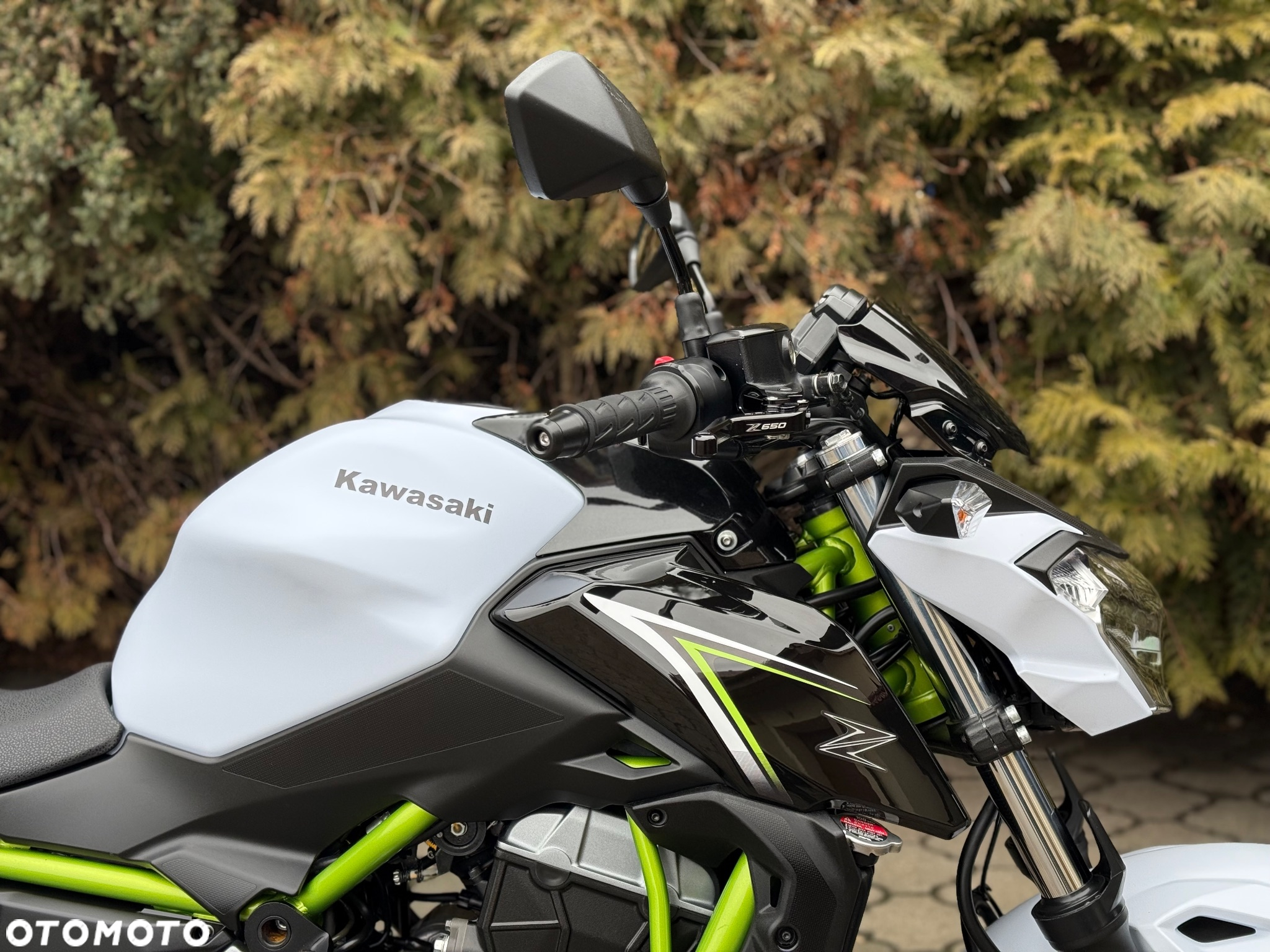 Kawasaki Z 650 - 12
