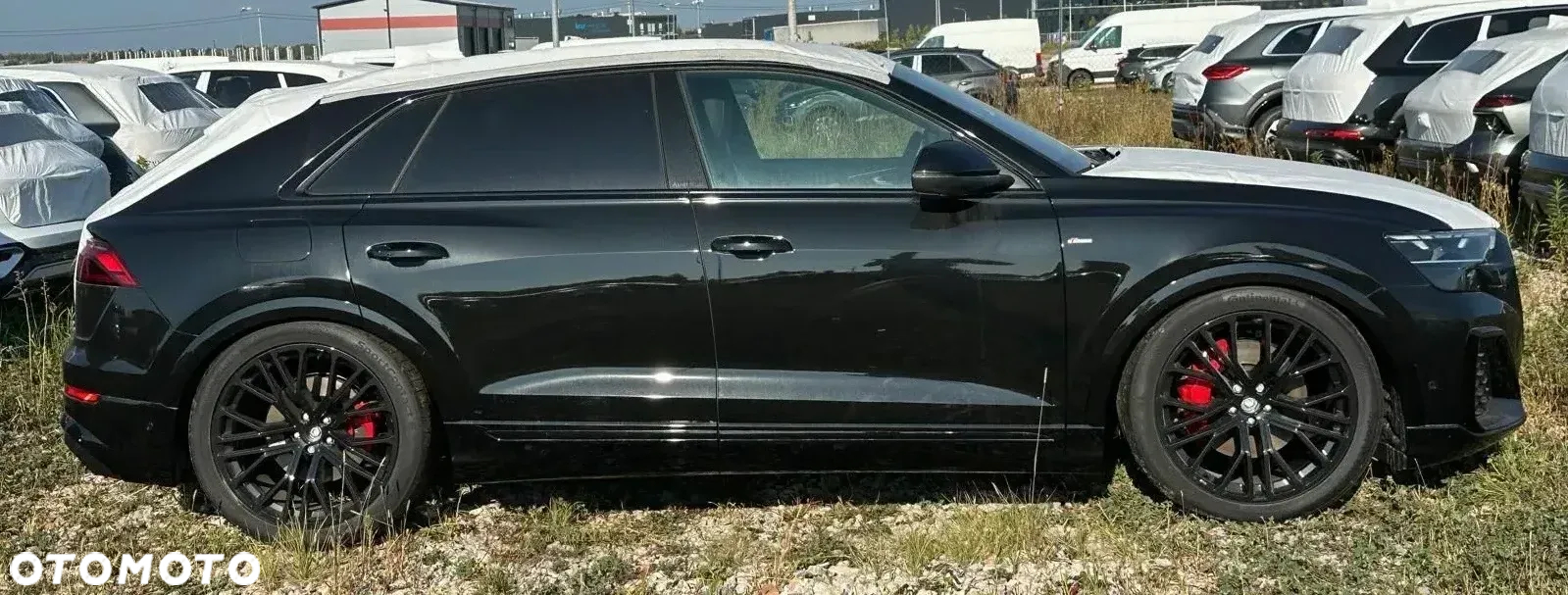 Audi Q8 - 5