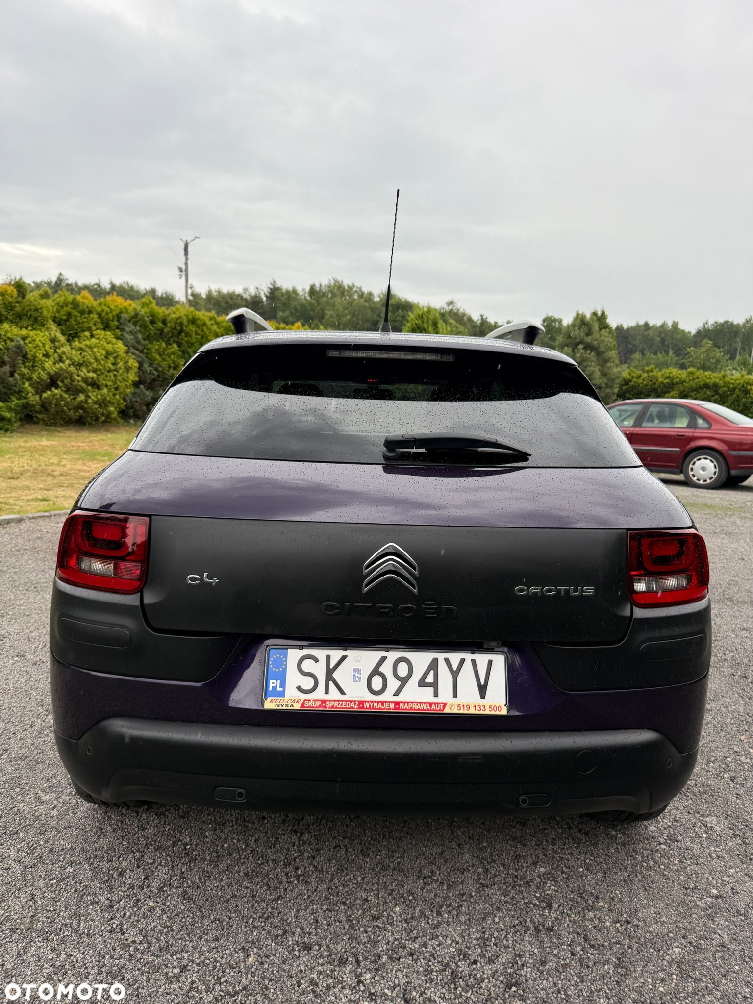 Citroën C4 Cactus 1.2 PureTech Shine S&S - 6