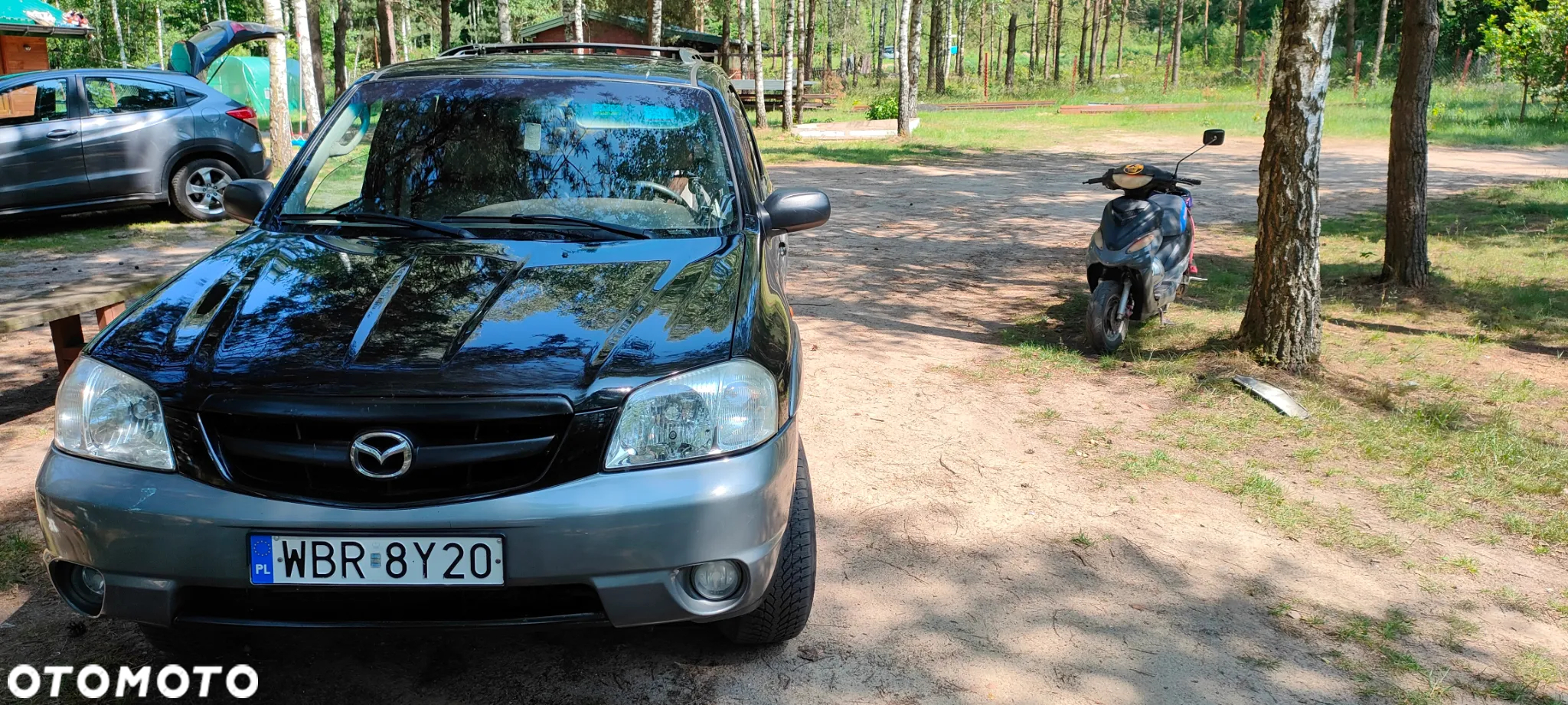 Mazda Tribute 3.0 V6 Exclusive - 6