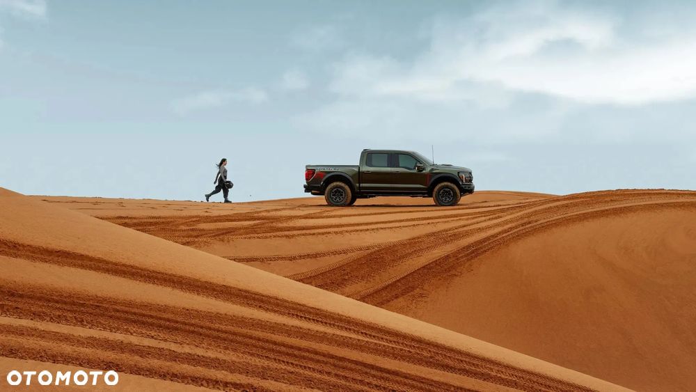 Ford F150 - 11