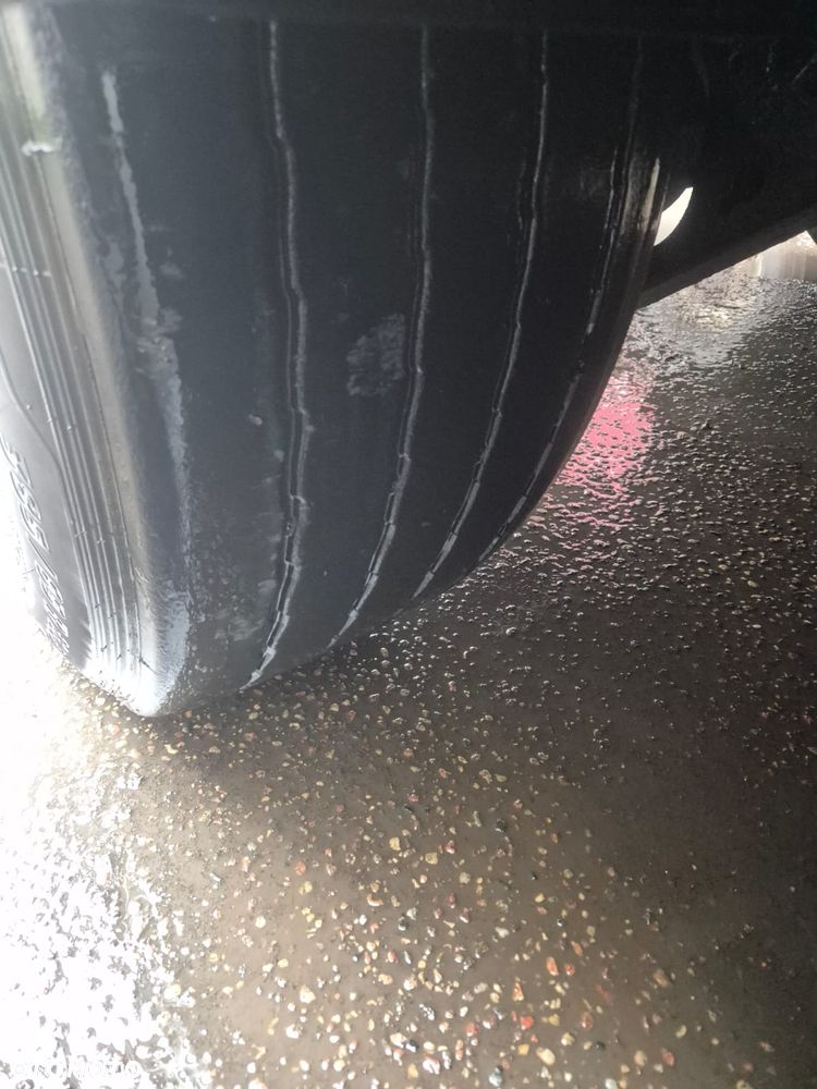 Benalu Wywrotka - 33