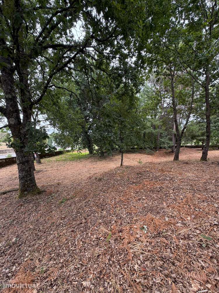 Terreno urbano 3.308 m² pronto a construir, murado, Vila Nova de Paiva - Grande imagem: 2/8
