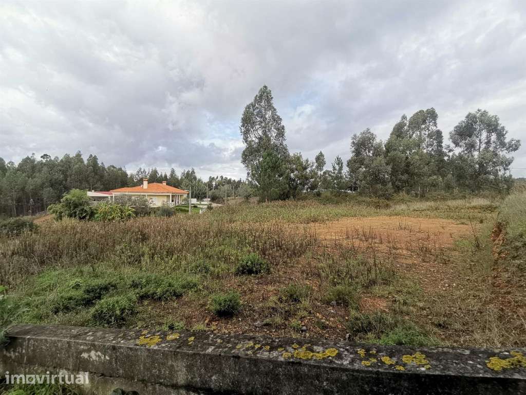 Lote, Penacova - Grande imagem: 4/10