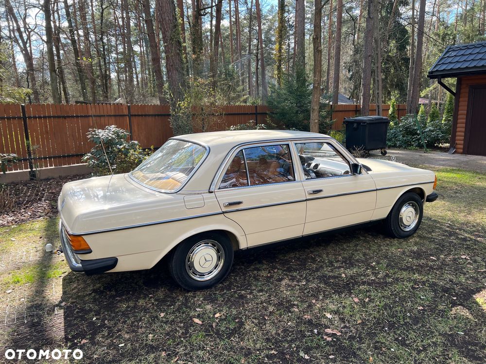 Mercedes-Benz W123 - 17