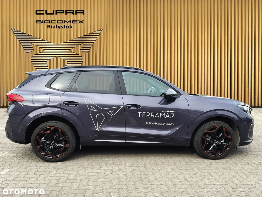 Cupra Terramar 1.5 eTSI mHEV DSG - 6