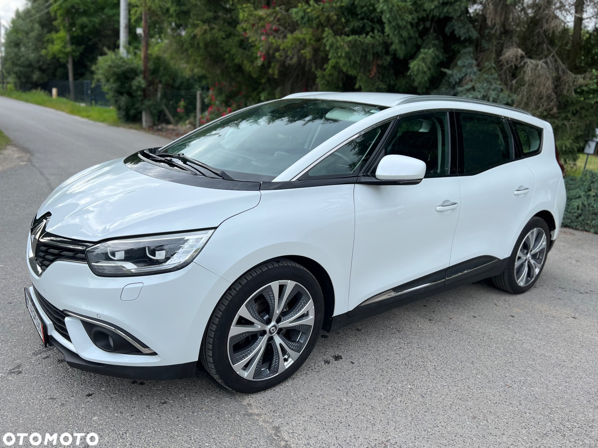 Renault Grand Scenic Gr 1.6 dCi Energy Privilege - 2