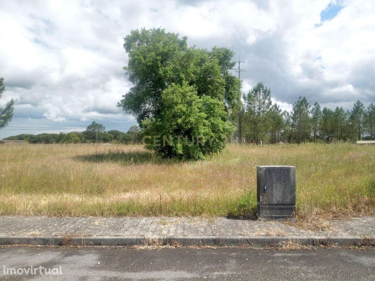 Lote para Construção em Biscainho – Coruche - Grande imagem: 2/22