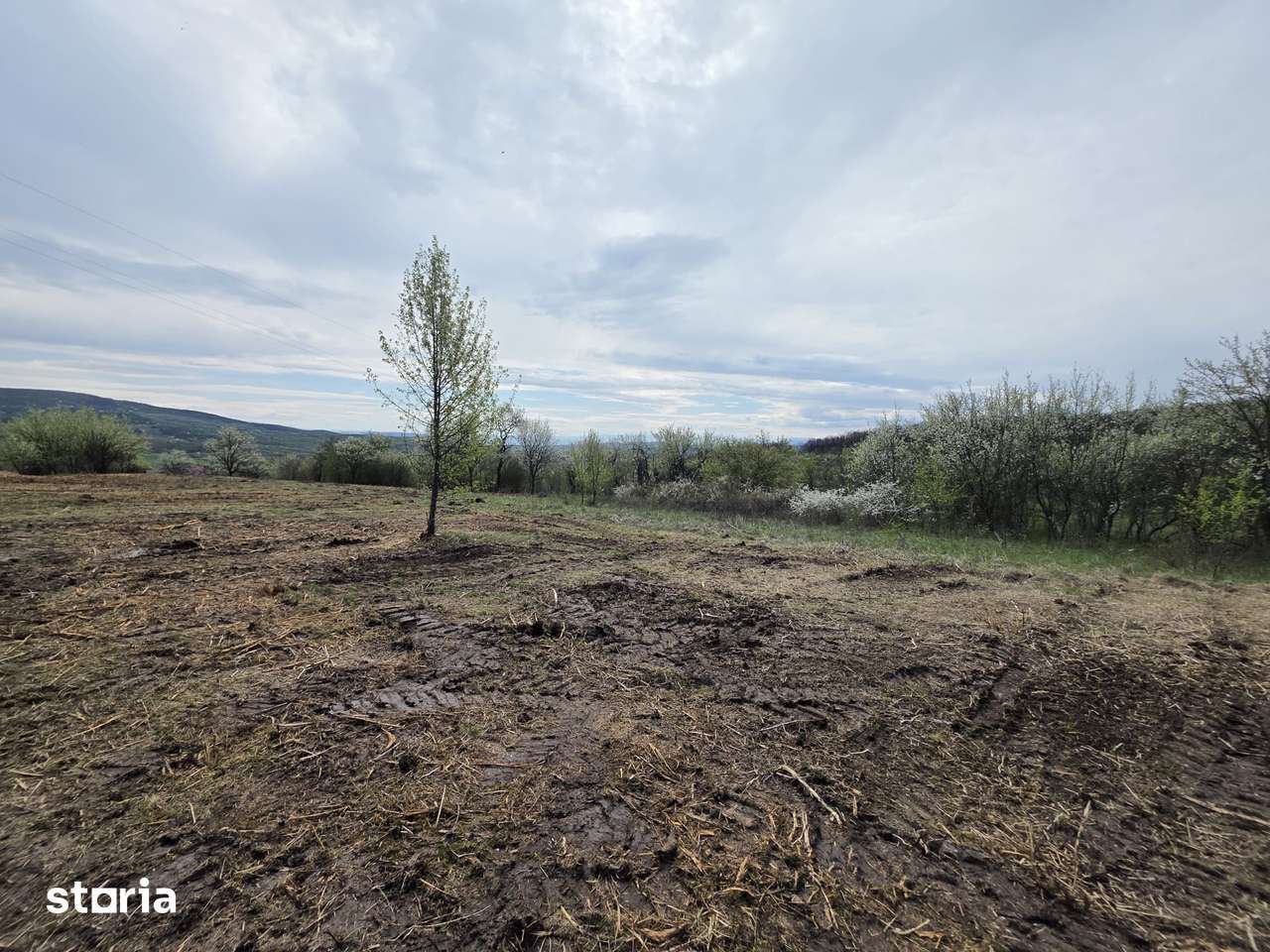 De vânzare teren intravilan – Bârsău, jud. Hunedoara - Imagine principală: 3/17