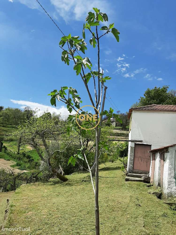 Venda Quinta/Herdade - Grande imagem: 3/17