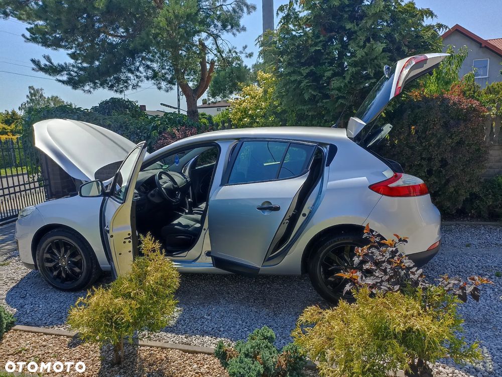 Renault Megane - 14