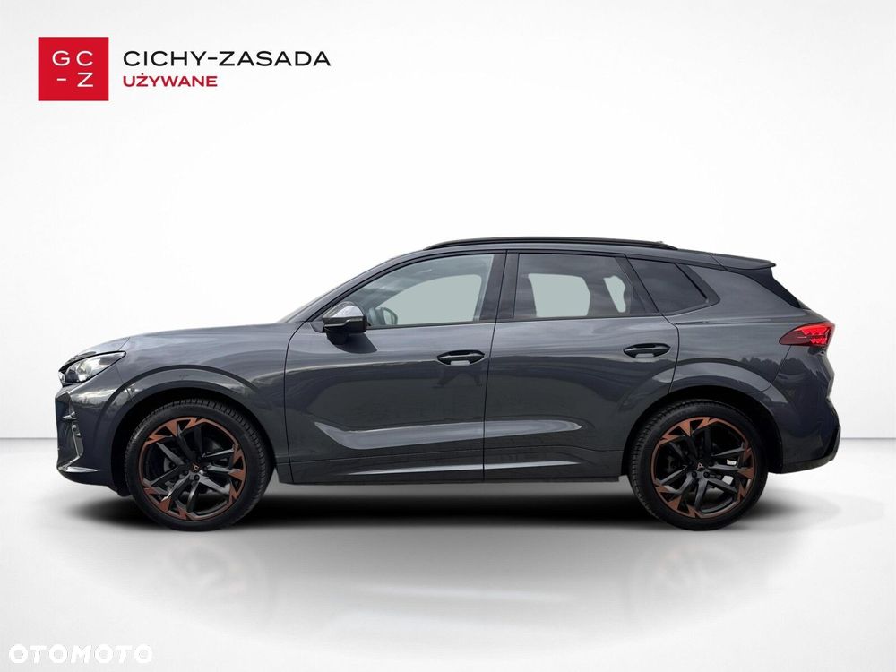 Cupra Terramar - 2