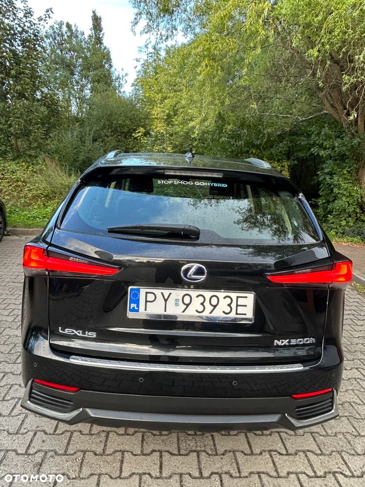 Lexus NX - 4