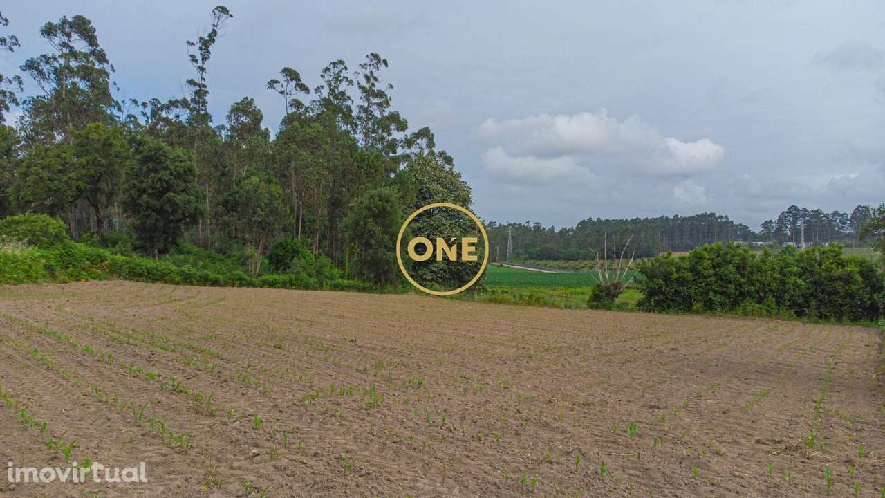 Terreno com Potencial para Construção – Mosteiro, Vila do Conde - Grande imagem: 2/10