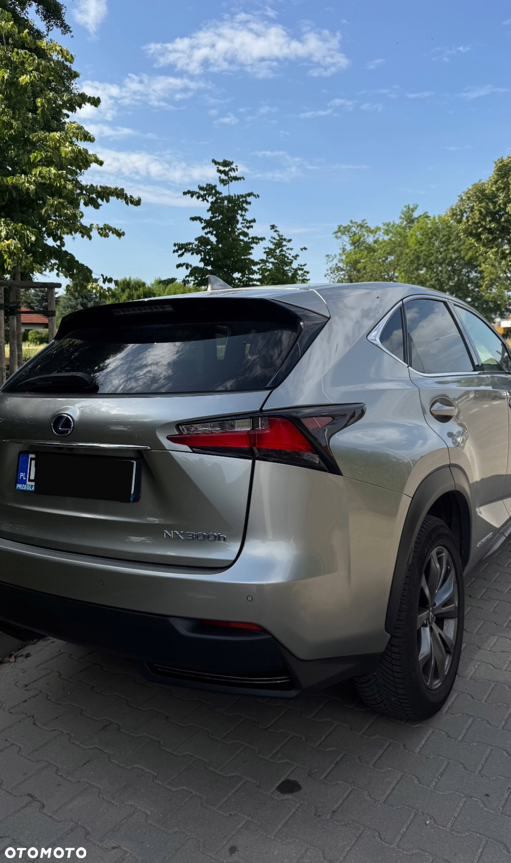 Lexus NX 300h F Sport AWD - 2