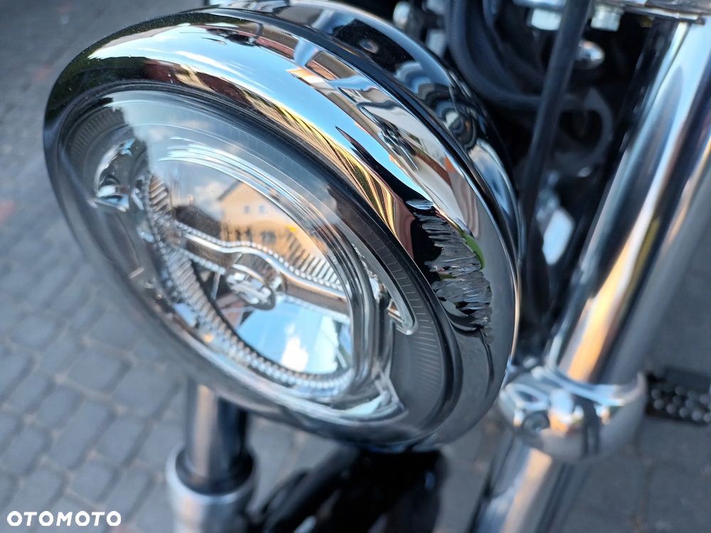 Harley-Davidson Softail Standard - 14