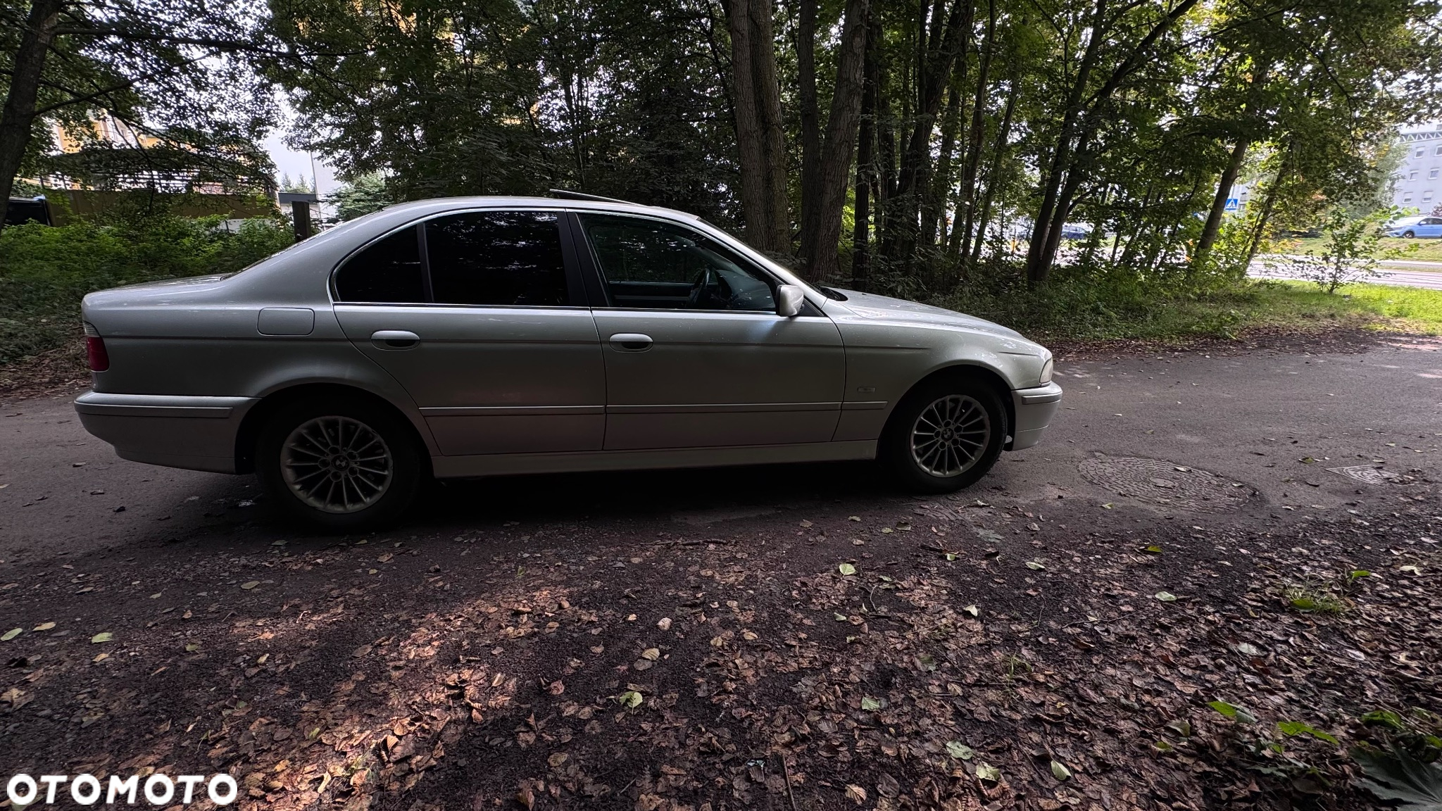 BMW Seria 5 - 4