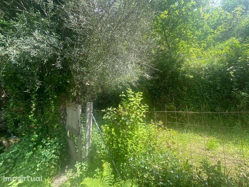 Terreno com ruína - Grande imagem: 2/8