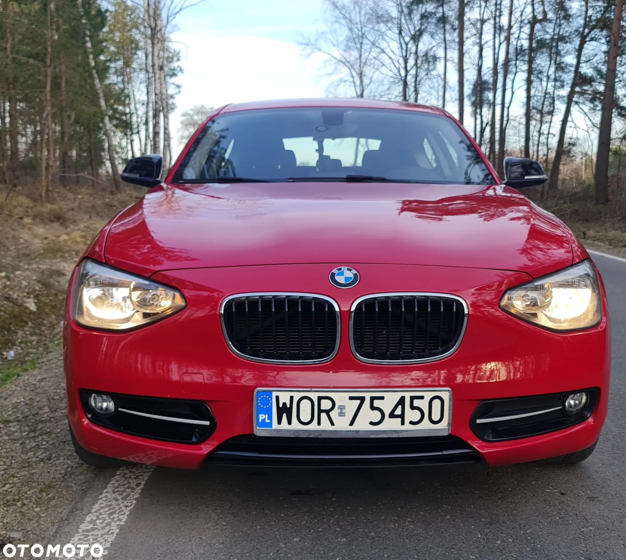 BMW Seria 1 114d Sport Line - 1
